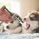 thumbnail image 1 of Gato perro tipo empuje alimentación medicamentos aplicador alimentador aguja seco húmedo doble uso alimentación, 1 of 12