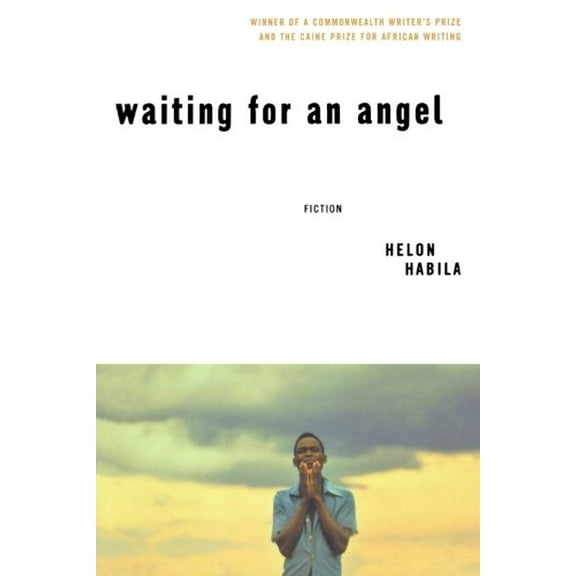 Pre-Owned Waiting for an Angel (Paperback) 0393325113 9780393325119