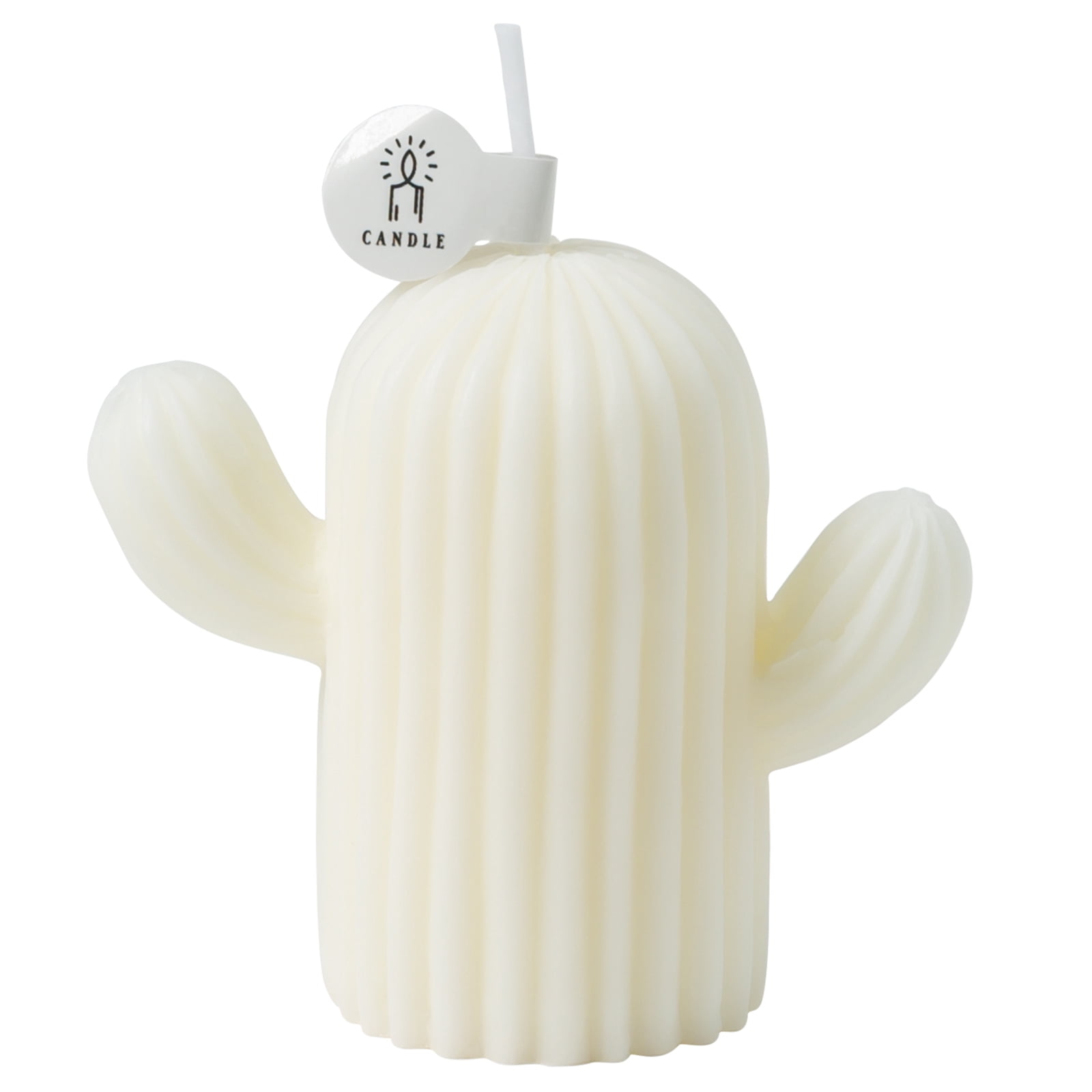 Rejuuv Cactus Shaped Scented Candle with Sage and Sea Salt Fragrance