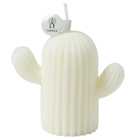 Rejuuv Cactus Shaped Scented Candle with Sage and Sea Salt Fragrance