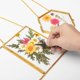 thumbnail image 5 of Marco de vidrio doble para flores prensadas, con flores secas reales y pinzas para fotos artesanales u otros artículos planos pequeños, 5 of 8