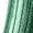 Green, variant on Silver Socks Shiny Metallic Ribbed Laminated Socks