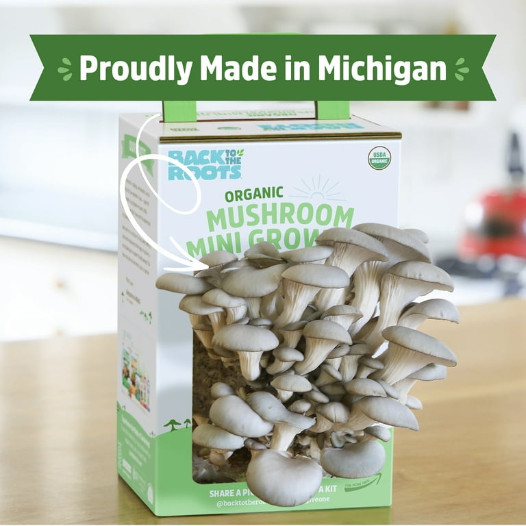 Back to the Roots Organic Pearl Oyster Mushroom Mini Grow Kit