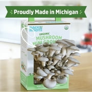 Back to the Roots Organic Pearl Oyster Mushroom Mini Grow Kit, for Indoor Gardening and Cooking