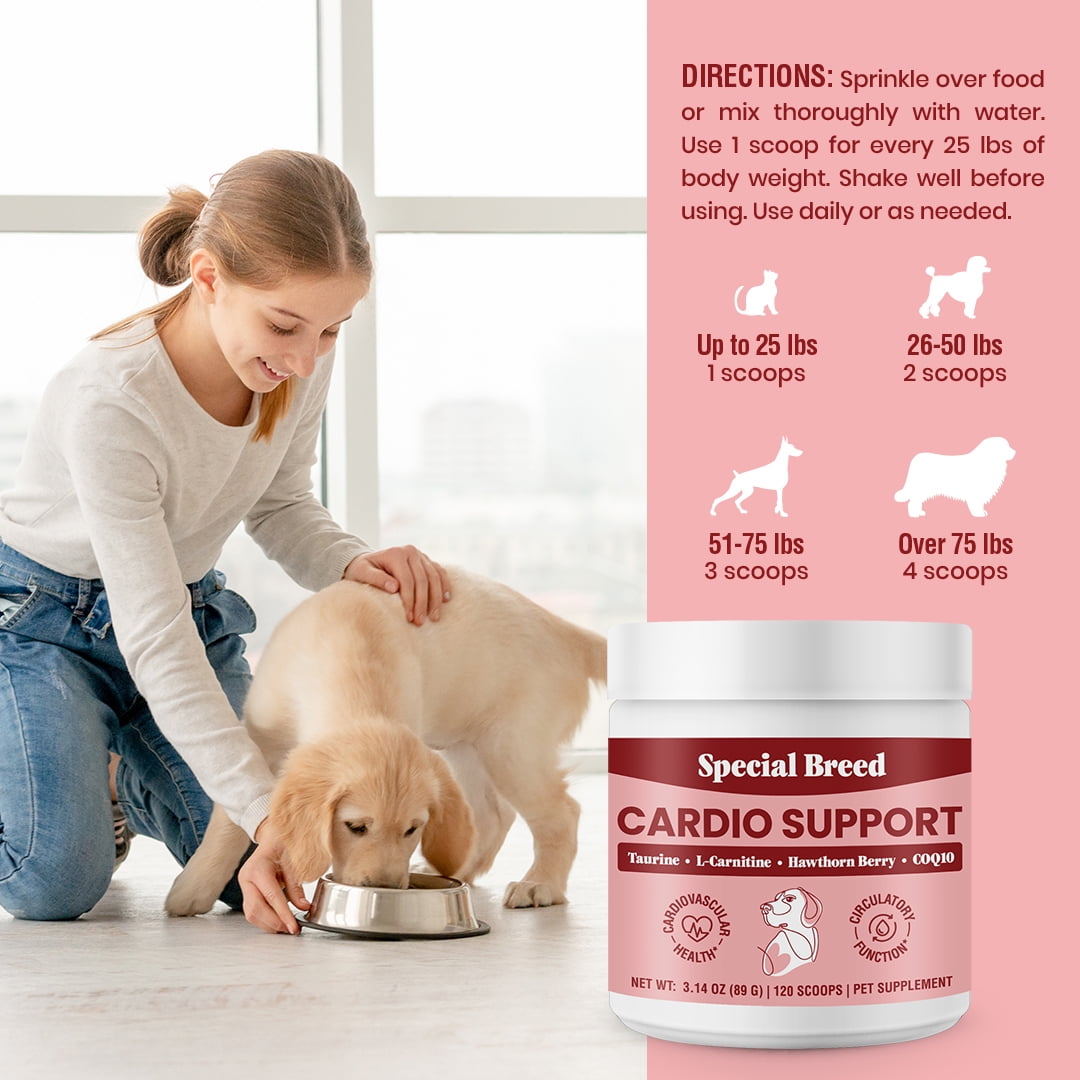 Special Breed Cardio Support for Dogs - Heart Health Support with Taurine,  CoQ10, Organic Hawthorne Berry, Powder Supplement, 240 Scoops, 6.28 oz -  Walmart.com
