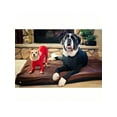 thumbnail image 3 of Couche de Base Extensible pour Chiens Moyens et Grands en Automne et Hiver, 3 of 4