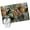 Green, variant on Spring Floral Entryway Rug 2'x3' Non Slip Front Door Mats, Cat Summer Botanical Flowers Entrance Rugs Indoor Outdoor Carpet, Washable Floor Mats Small Area Rug for Bedroom Kitchen