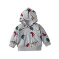 thumbnail image 3 of Esho 2Pcs Infant Baby Boys Sweatshirt Jogger Clothes Set, Toddler Boys Dinosaur Print Hoodie Tops + Pants Sweatsuit Outfits, Size 3M-3T, 3 of 8