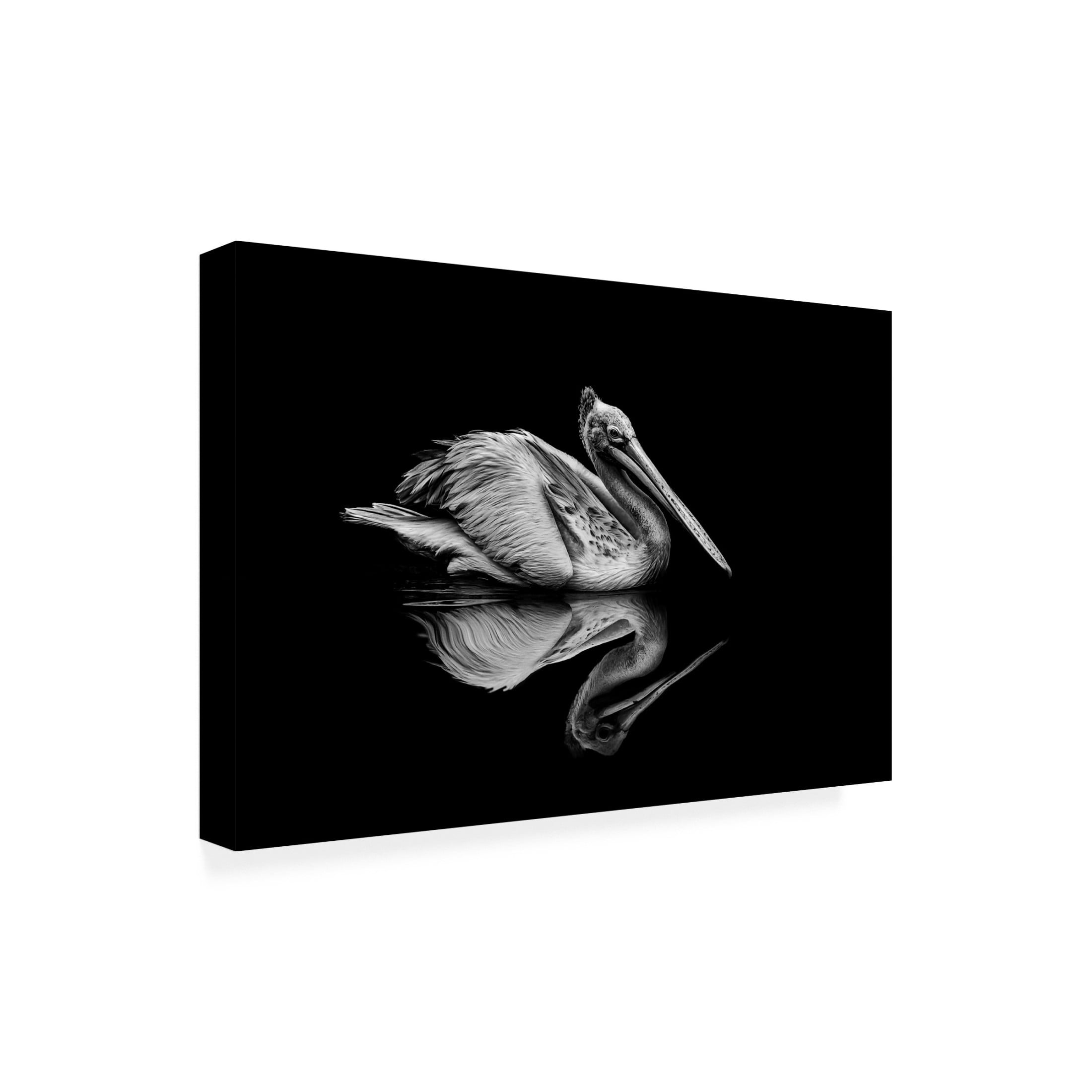 Trademark Fine Art Anita Singh  Reflection Canvas Wall Art
