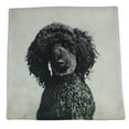 thumbnail image 2 of Pet Pillow | Custom Pillow | Throw Pillow | Pillows | Custom Dog Gifts | Custom Gift | Custom Cat Pillow | Custom | Home Decor | Embroidery, 2 of 8