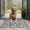 Bulldog Dog and, variant on Bulldog Dog and Flower Florals Door Rugs,Washable Non Slip Door Mats Indoor,Decorative Door Mats,Entry Mat Indoor for Entrance,Bedroom,Kitchen,Bathroom,16"x24"