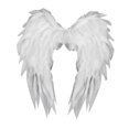 thumbnail image 4 of Accesorios de disfraz de alas de ángel para cosplay para fiestas temáticas de Halloween y festivales. Blanco, 4 of 8