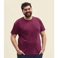 thumbnail image 2 of Fruit Of The Loom T-Shirt Iconic pour Hommes, 2 of 4