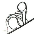 thumbnail image 4 of LS1-4L60E Wiring Harness Stand Alone Fit LS SWAPS DBC 4.8 5.3 6.0 97-06 98 99 00, 4 of 5