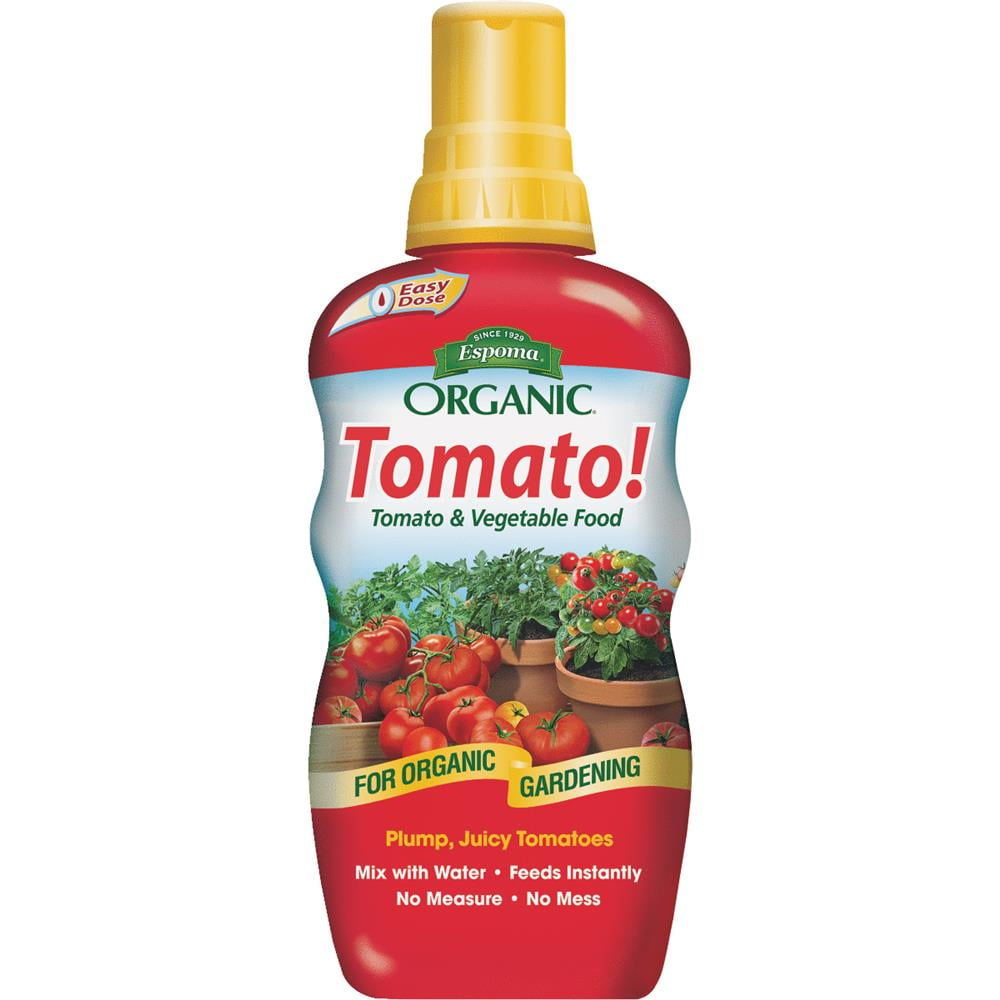 tomato focus tomato focus