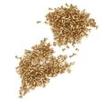 thumbnail image 3 of Hollow Rivet Cap Nail Buckle Hollow Grommet Rivet Buckles Copper Air Eye 500 Pcs Pack 500Pcs Solid Rivets Brass Hollow Rivets Buckles, 3 of 7