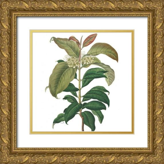 Sophie 6 15x15 Gold Ornate Wood Framed with Double Matting Museum Art Print Titled - Garden Party II