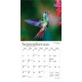 thumbnail image 4 of Hummingbirds | 2026 7x14" (Hanging) Monthly Mini Wall Calendar | Plato, 4 of 9
