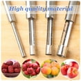 thumbnail image 3 of Stainless Steel Jujube Pear Core Separator Puller fruit core separator Cherry Core Remover Home Kitchen Gadgets, 3 of 9