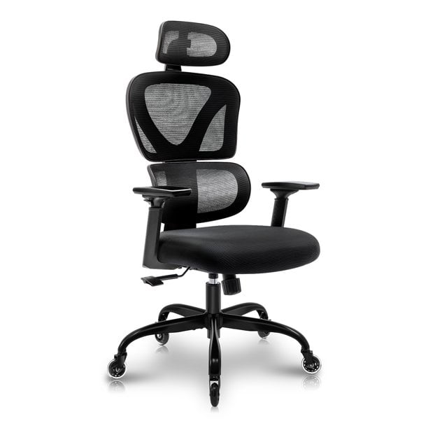 Inbox Zero Hristos Home Office Chair, 400LBS Big and Tall Heavy Duty  Design, Ergonomic High Back Cushion Lumbar Back Support & Reviews