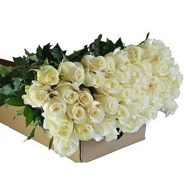 KaBloom : 50 White Roses, Next-Day Delivery, Gift for Every Occasion.