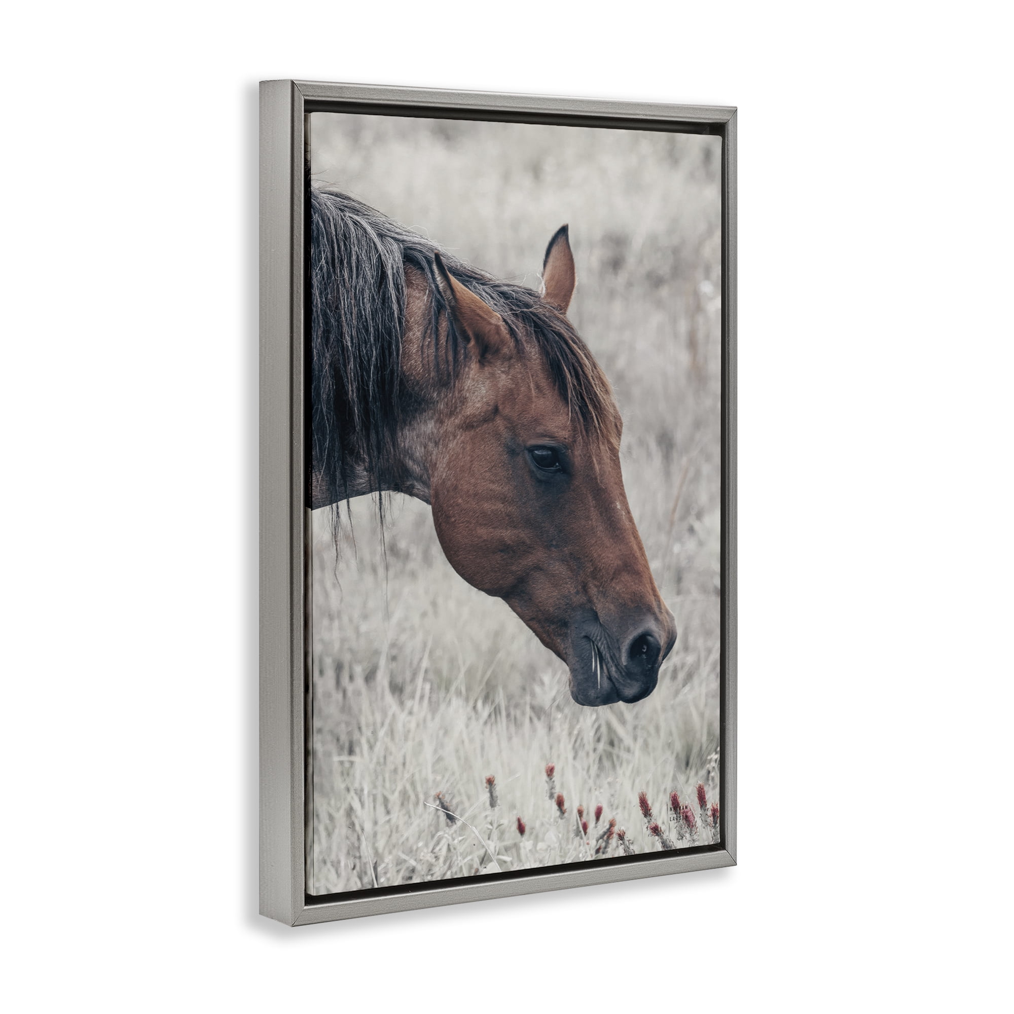 Stupell Industries Mother Horse Grazing in Meadow Gray Framed Floater Canvas Wall Art, design by Nathan Larson