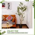 thumbnail image 4 of NOICOI Large Artificial Olive Tree 72" Tall Faux Silk Plant Natural Wood Trunk Indoor Office Home Decor, 4 of 6