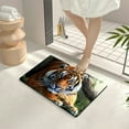 thumbnail image 4 of Autua Tiger Grass Tree Branch Home Bath Mat Diatom Mud Quick Drying 24x16in, 4 of 5