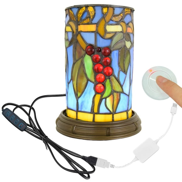 FSLiving Tiffany Style Accent Lamp Table Lamp Stained Glass USB-Powered Cord Red Vine Desk Light with Color Changing Cordless Remote Bedroom Gift Night Light Backlight for Zoom Meetings