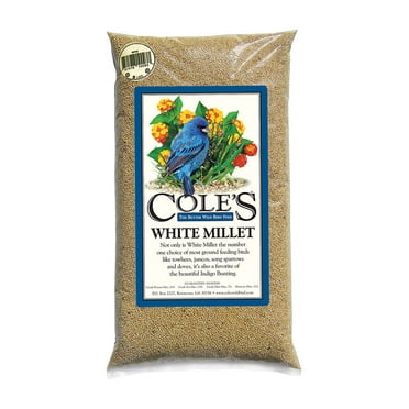 Cole's White Millet Bird Seed, 20-Pound