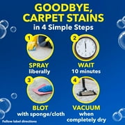 OxiClean Carpet and Rug Stain Remover Spray, 24 fl oz