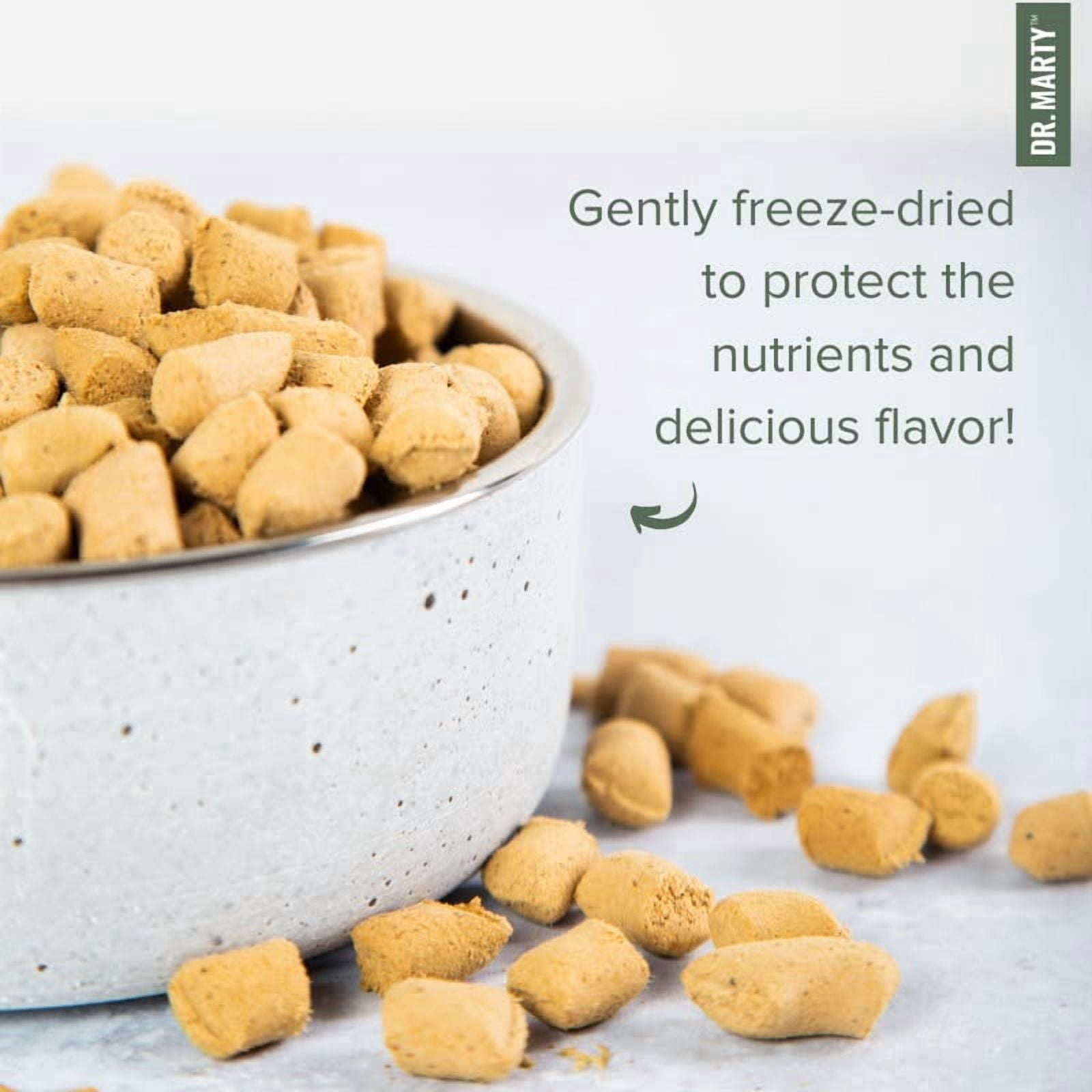 Dr. Marty's Nature's Blend Small Breed Freeze Dried Raw Dog Food 6-oz (Trial Size)
