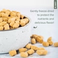 thumbnail image 6 of Dr. Marty's Nature's Blend Small Breed Freeze Dried Raw Dog Food 6-oz (Trial Size), 6 of 8