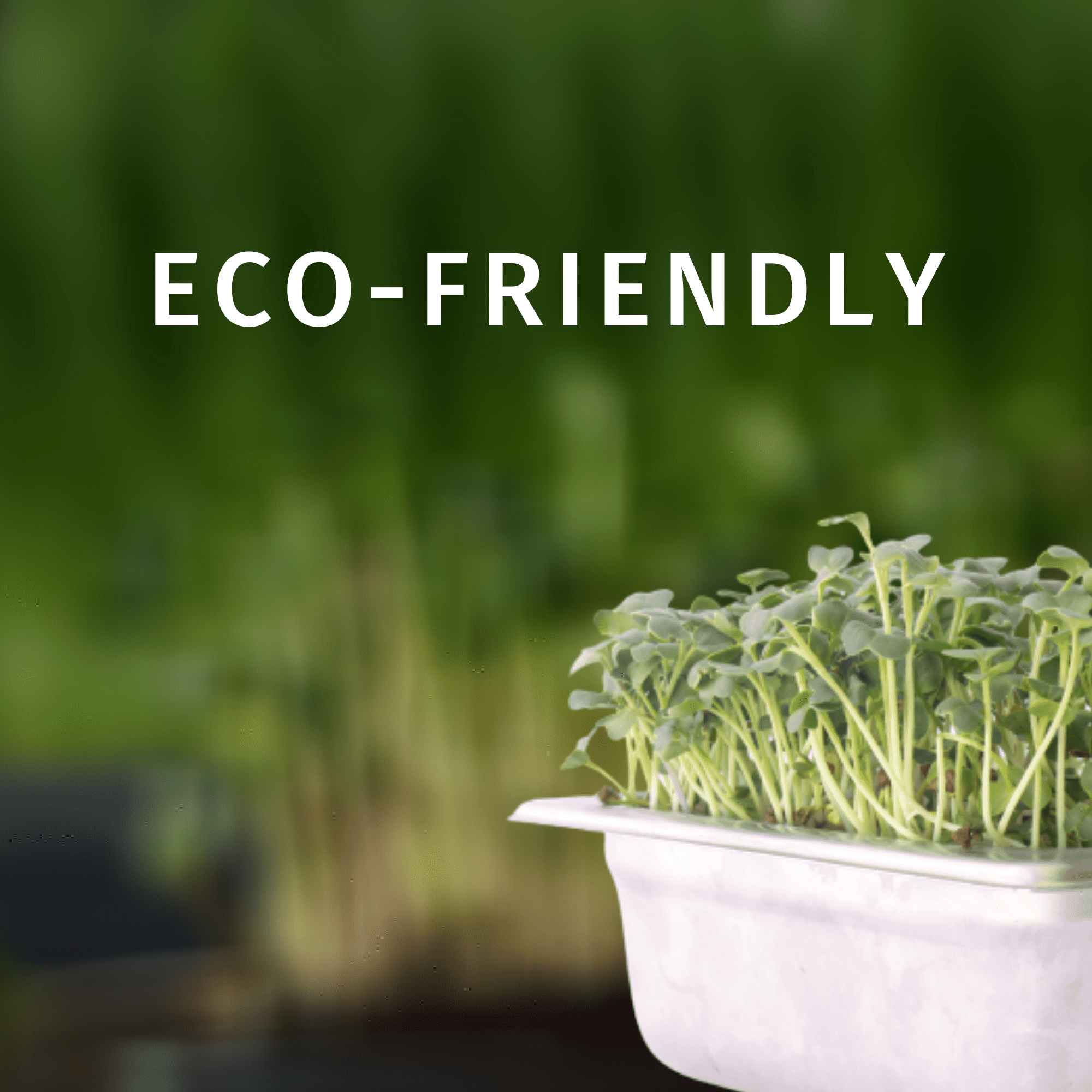 Trellis + Co. Stainless Steel Hydroponic Microgreens Growing Kit - 2 Pack - Infinitely Reusable Hydroponic Kit for Microgreen Seeds & Wheatgrass Seeds - Easy Soil-Free Sprouting System