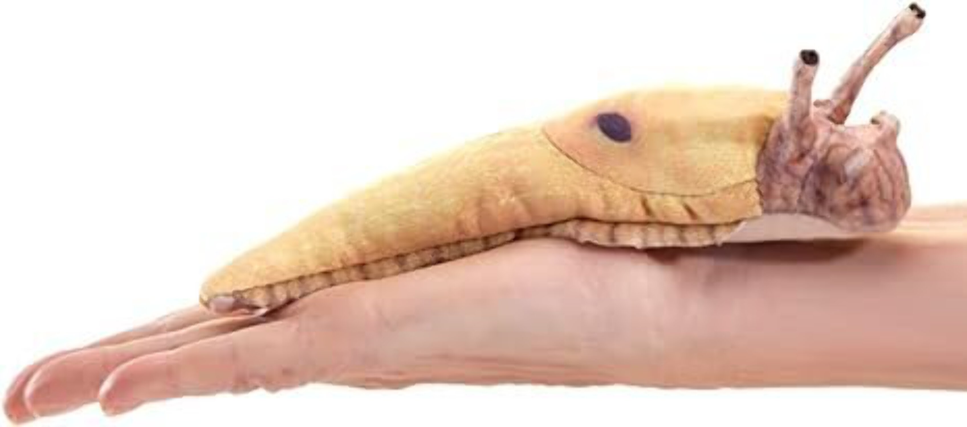 Banana Slug Finger Puppet (Other)