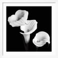 thumbnail image 2 of Art.com Sisters Art Print by Michael Faragher, White Frame Wall Art, 38" x 38", 2 of 5