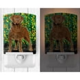 thumbnail image 2 of Carolines Treasures SS8969CNL Chesapeake Bay Retriever Ceramic Night Light, 2 of 2