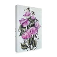 thumbnail image 2 of Trademark Fine Art 'Pink Sweet Pea' Canvas Art by Carol J Rupp, 2 of 3
