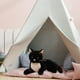 thumbnail image 1 of Animal de peluche Gato de juguete de peluche Decoración abrazable Muñeco de peluche súper suave Gato de peluche para la decoración del hogar Negro 29cm Hugo Gato de peluche, 1 of 10