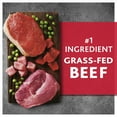 thumbnail image 6 of Pure Balance Wild and Free Grass Fed Beef and Wild Boar Recipe Grain Free Dry Dog Food, 4 lb, 6 of 14