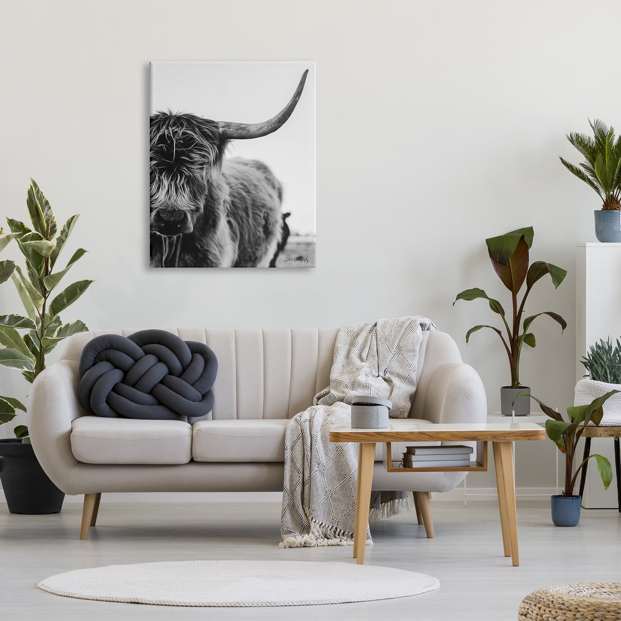 Stupell Industries Highland Cow Cattle Horn Close Up Serene Photography Photograph Gallery Wrapped Canvas Print Wall Art, Design by Dakota Diener