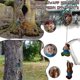 thumbnail image 2 of Muñeca de árbol de gnomos trepadores, estatua de gnomo de jardín para puerta, decoración del hogar para abrazar árboles, 2 of 5