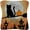 Cat, variant on ShowNiceArt Latch Hook Kits for Adults/Kids Crocheting Pillow Canvas, Halloween | Pattern Embroidery Tapestry Needlework Home Decor 43 × 43cm / 16.9 * 16.9 inches