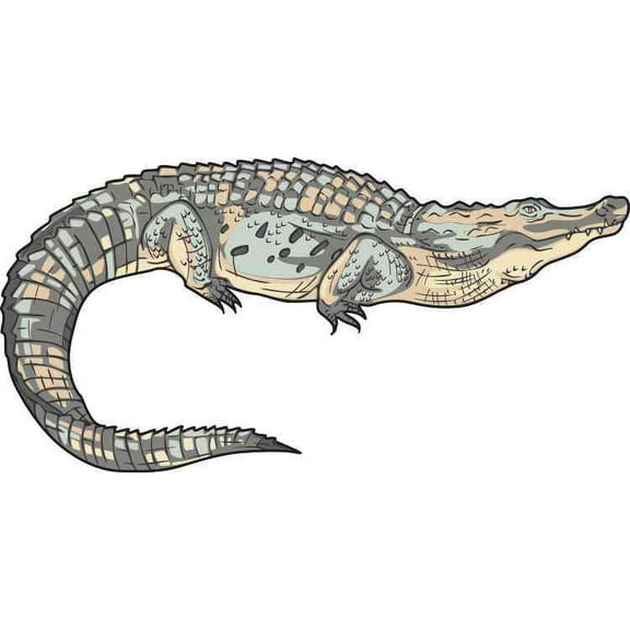 5in x 2.5in Die Cut Alligator Sticker