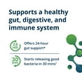 thumbnail image 3 of Metagenics UltraFlora Balance Probiotic - Daily Gut Health Supplement* - Offers Digestive & Immune System Support* - Vegetarian, Non-GMO & Gluten-Free - 120 Capsules, 3 of 9
