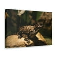 thumbnail image 2 of Alligator Couple Alligator Troop Print Animal Wall Art Wildlife Canvas Prints Wall Art Ready to Hang Unframed, 2 of 18