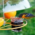 thumbnail image 3 of Bird Feeder Protective Cover Protective Dome Cover for Hanging Bird Feeders Hanging Hummingbird Feeders Rain Cover Guard Squirrel Proof Baffle Deflector for Bird Feeder, 3 of 5
