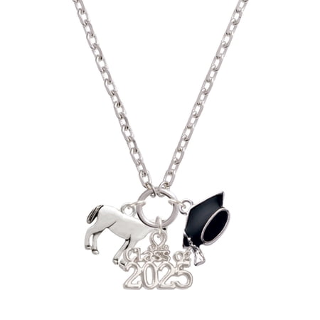 Delight Jewelry Silver-tone Standing Horse - Silver-tone Class of 2025 Graduation Zoey Necklace, 28"