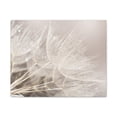 thumbnail image 3 of Soft Focus Dandelion At Sunset Seed Macro Closeup Canvas Wall Art for Home Decor Ready-to-Hang, 3 of 13