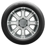 Michelin 4x4 Diamaris 285/35R22 102 W Tire